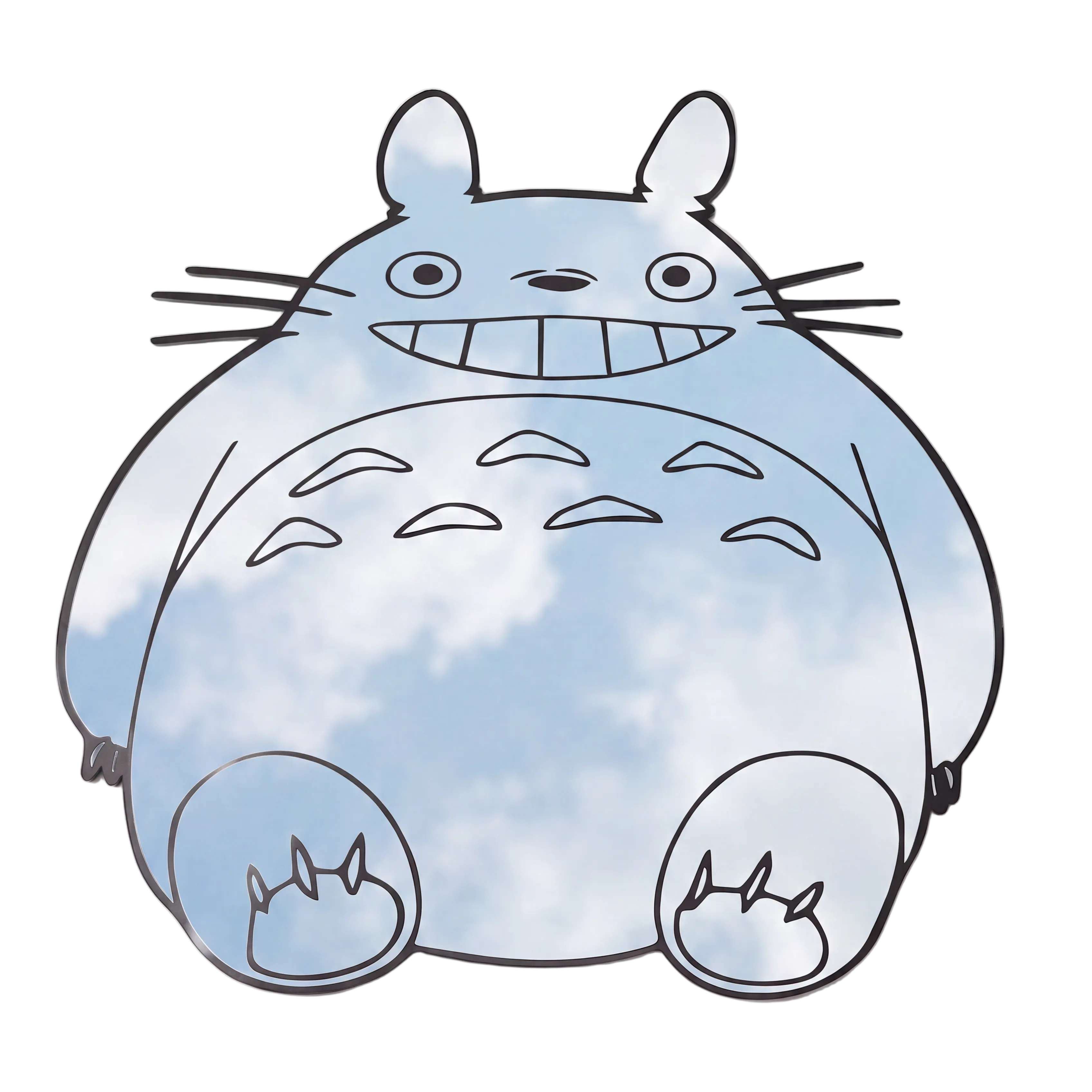 Totoro Mirror